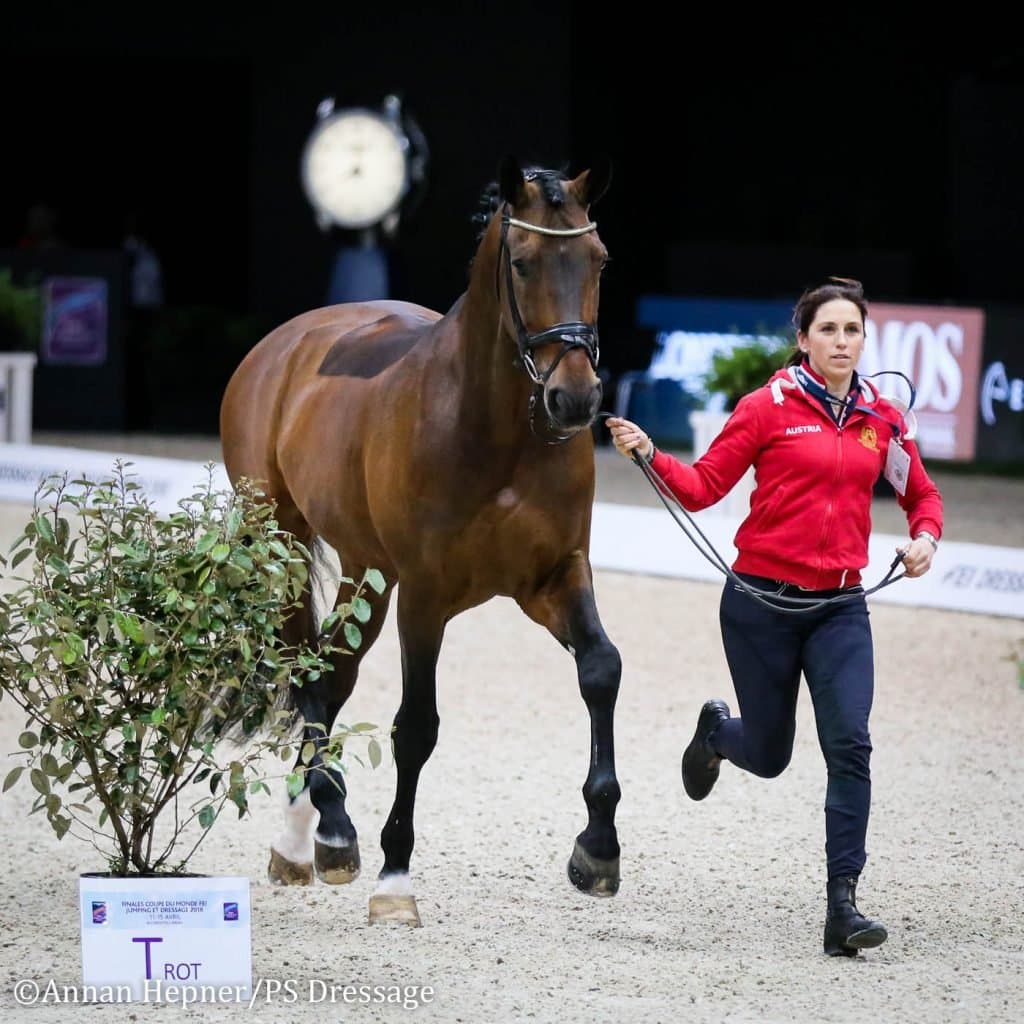 Belinda Weinbauer beim World Cup Trot-up
